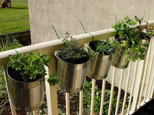 vasetti di piante aromatiche con barattoli di latta su ringhiera balcone