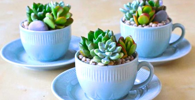 Risultati immagini per Creare con le tazzine! Ecco 20 idee a cui ispirarsiâ¦