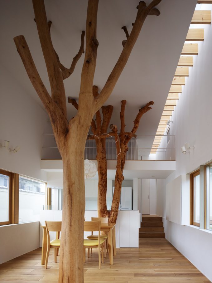 Alberi e tronchi per decorare casa! 13 idee incredibili da non perdere