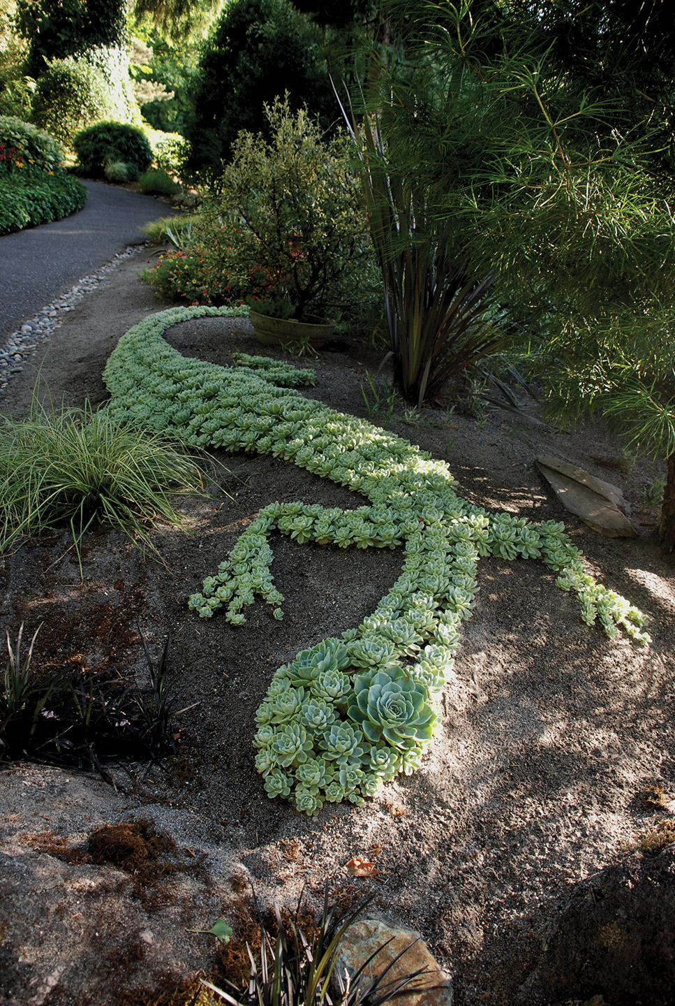 Un Giardino Di Piante Grasse Esempi Stupendi Da Cui Trarre Ispirazione