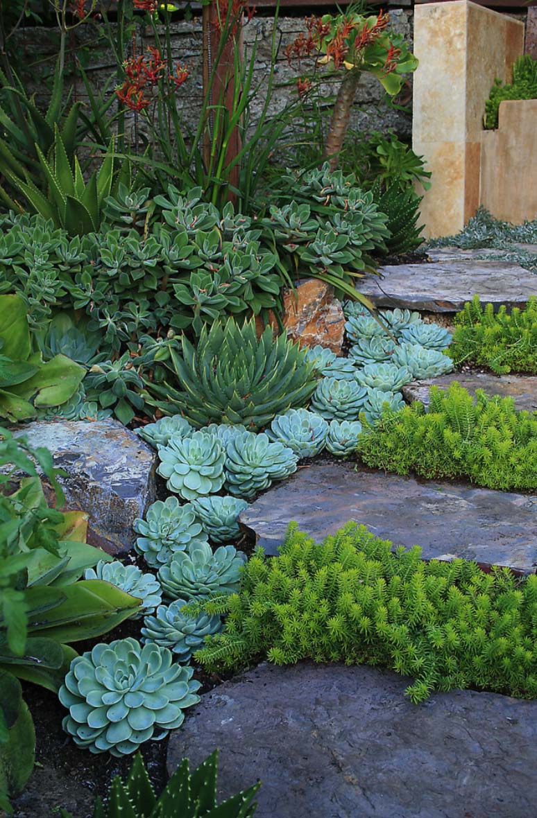 Un Giardino Di Piante Grasse Esempi Stupendi Da Cui Trarre Ispirazione