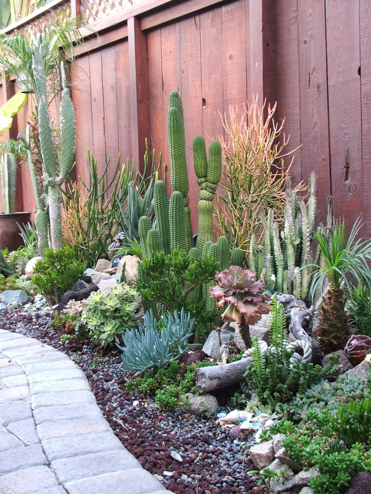 Un Giardino Di Piante Grasse Esempi Stupendi Da Cui Trarre Ispirazione