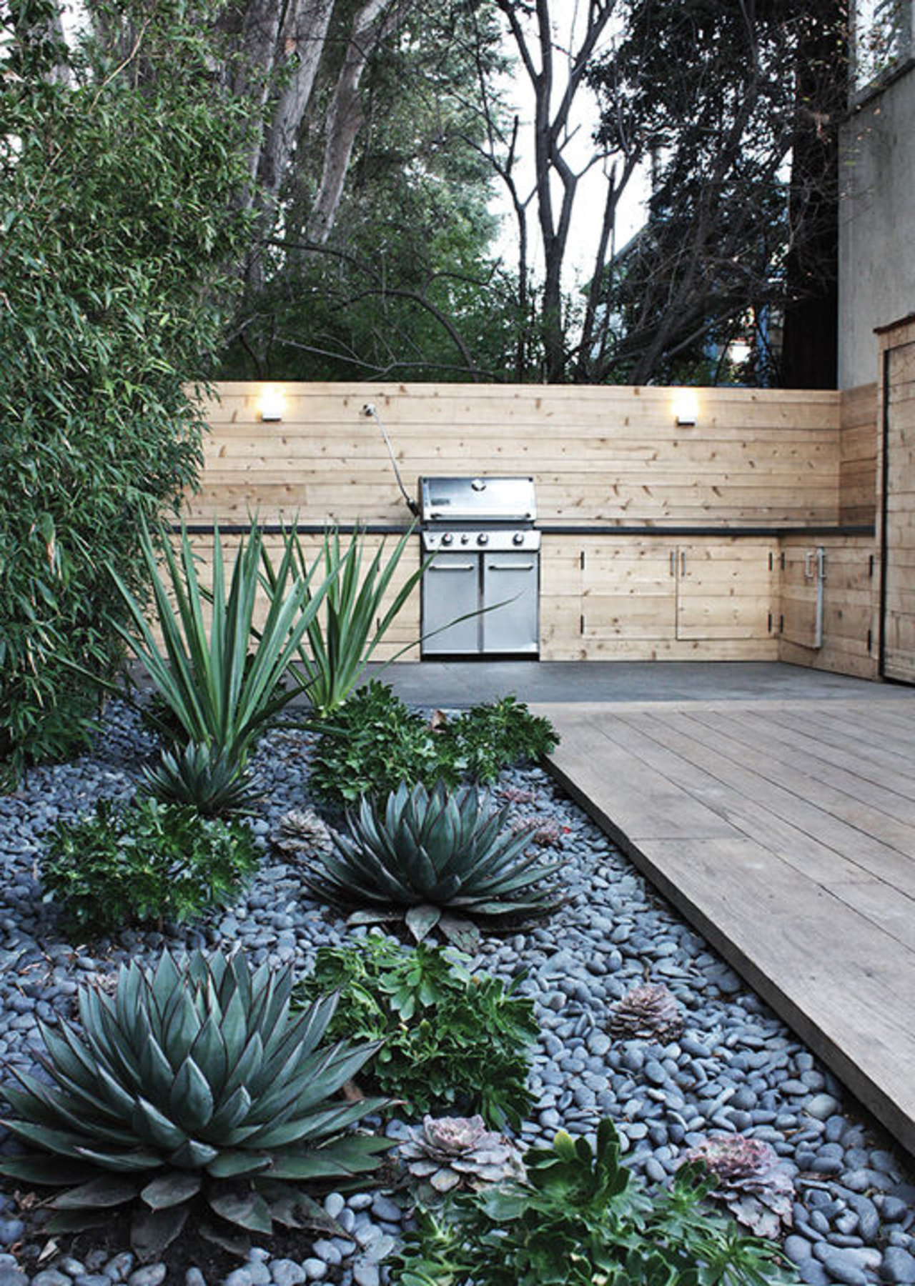 Un Giardino Di Piante Grasse Esempi Stupendi Da Cui Trarre Ispirazione