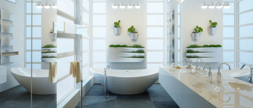 Piccolo bagno moderno lungo e stretto, decorato con piantine su parete.