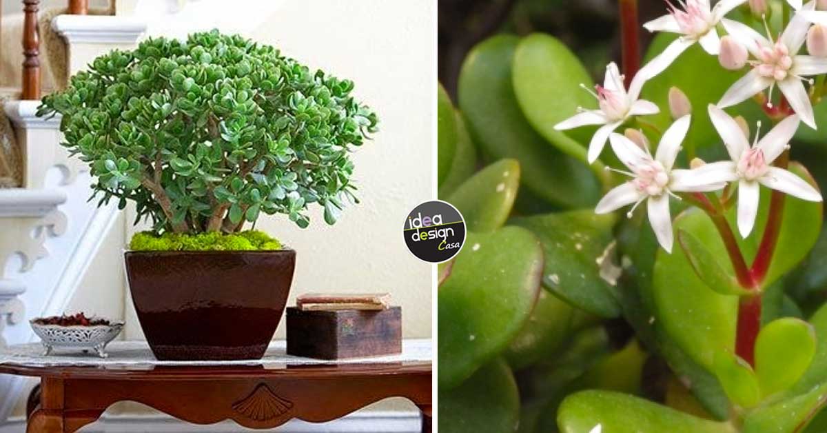 Idee per decorare casa su Lasciatevi ispirare&hellip;