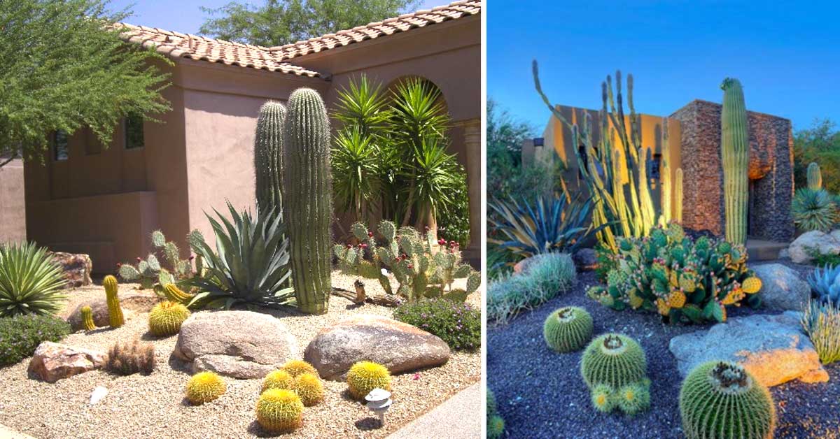 Decorare Il Giardino Con Cactus E Piante Grasse 15 Idee A Cui Ispirarsi