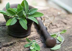 salvia sul balcone.