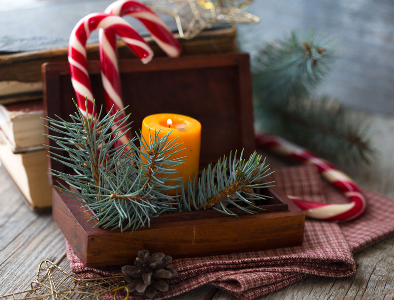 Addobbi Natalizi Naturali.Decorazioni Natalizie Fai Da Te Con Elementi Naturali 15 Bellissime Idee