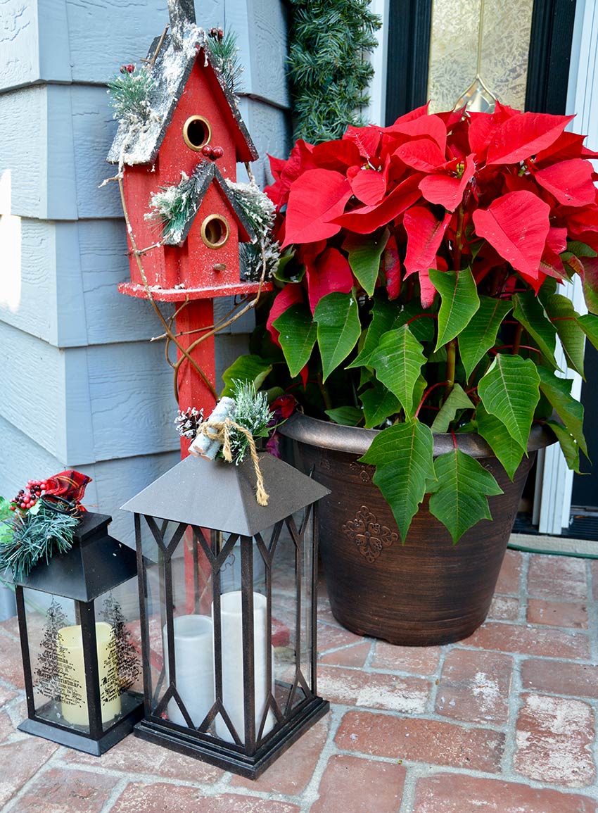 Decorare l'ingresso di casa con la stella di Natale e una lanterna.