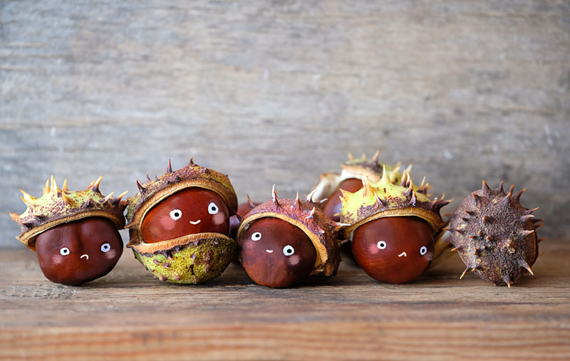 Lavoretti fai da te con castagne.