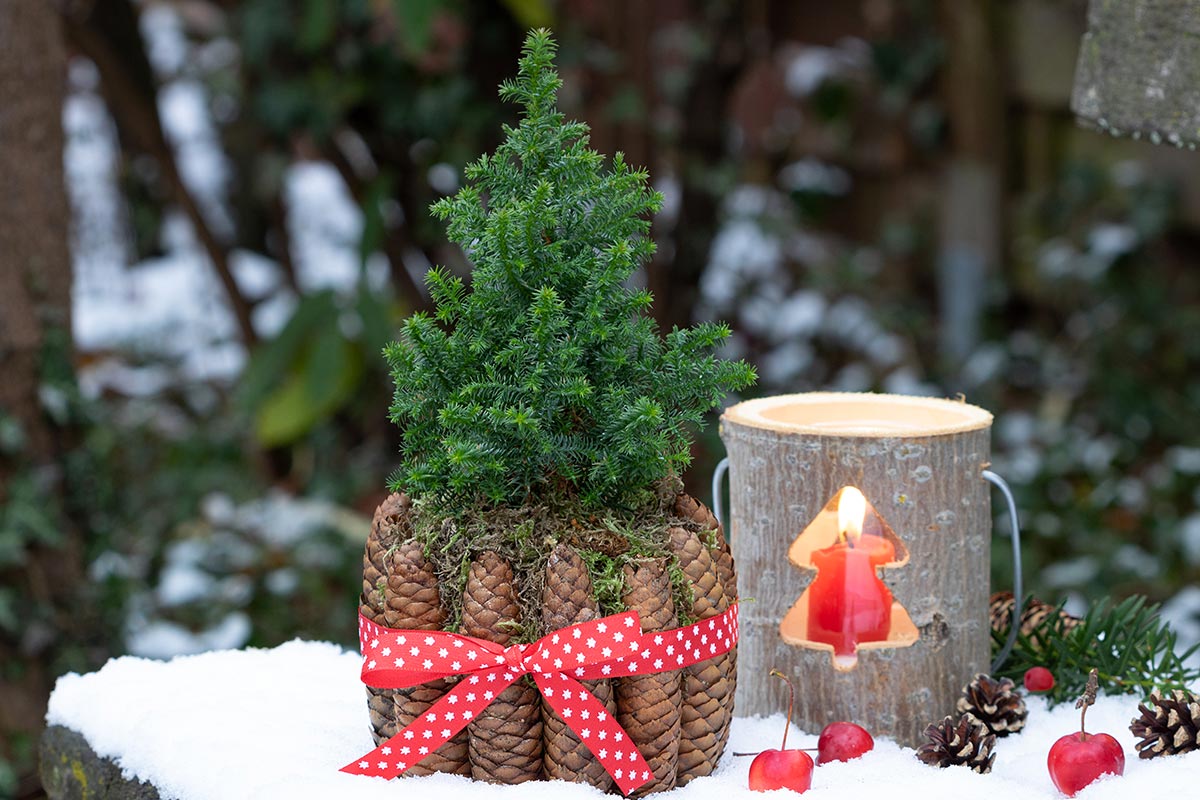 Addobbi Natalizi Esterno.Addobbi Natalizi Per Esterno 20 Idee Per Un Natale Magico