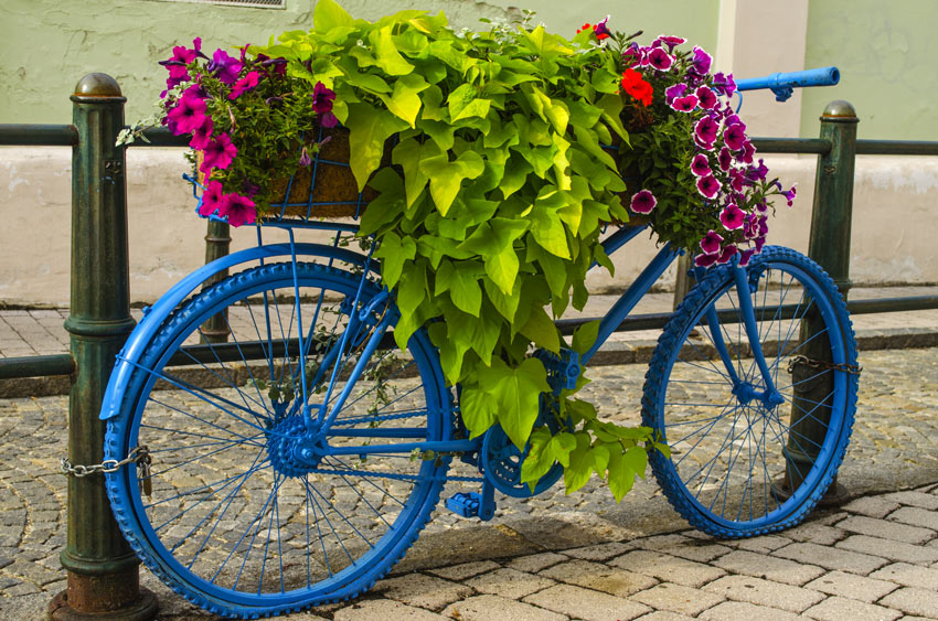 Decorare una vecchia bicicletta per la primavera