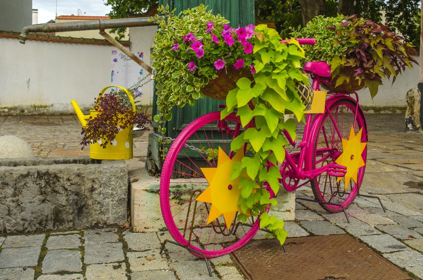 Vecchia bicicletta dipinta di fucsia e decorata con fiori.