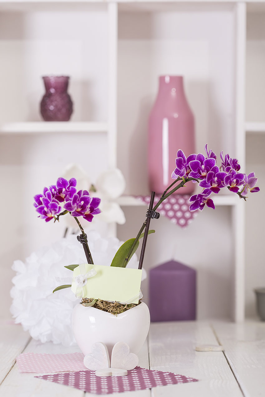 Vaso bianco con fiori e due cuoricini.