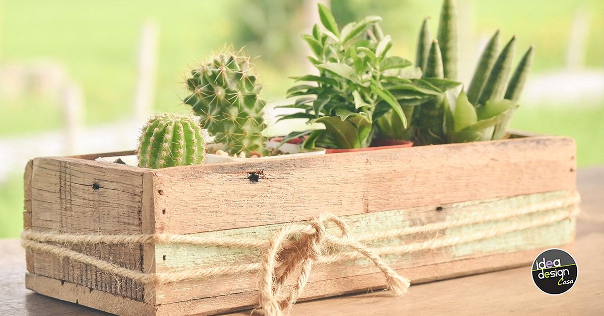 idee per decorare casa con cactus.