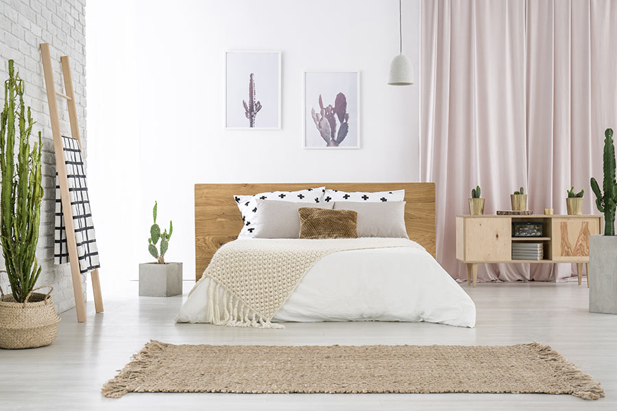 Camera da letto moderna con cactus in vaso.