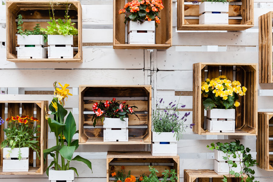 Cassette di legno con piantine fissate al muro in giardino, decorazioni primaverili.