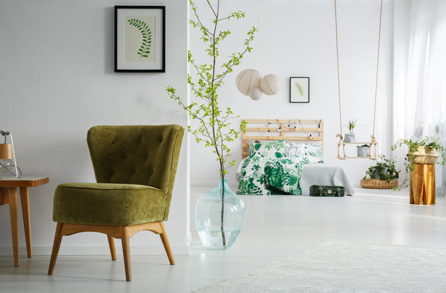 Pianta verde in una damigiana, vaso originale per decorare casa.