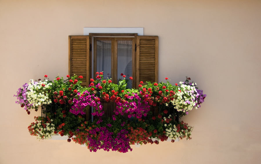 Bellissima composizione di fiori colorati sul balcone.