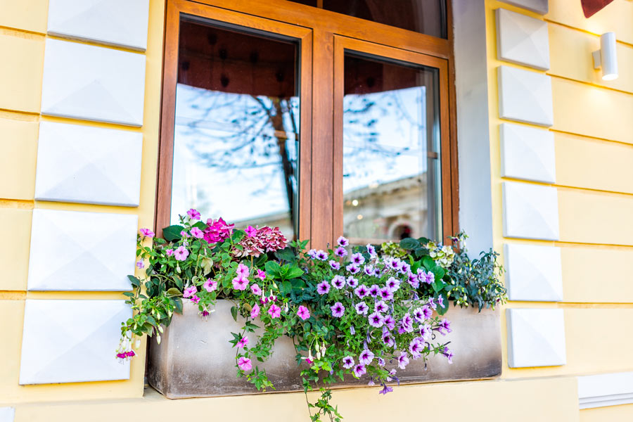 Vaso in cemento su balcone con fiori viola e rosa.