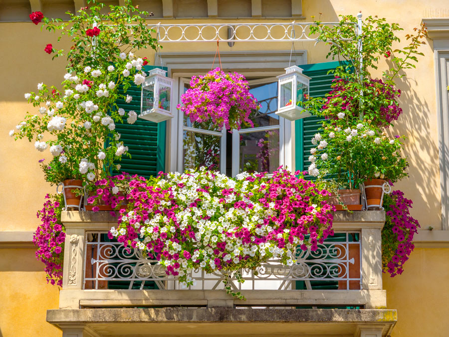 Splendido balcone ricoperto di fiori colorati.