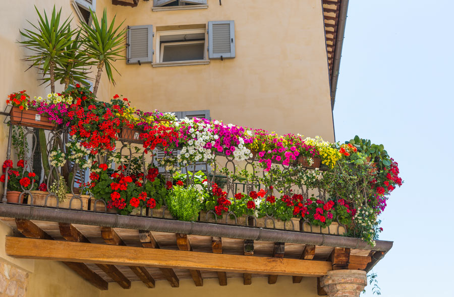 Balcone decorato con vasi di fiori colorati.