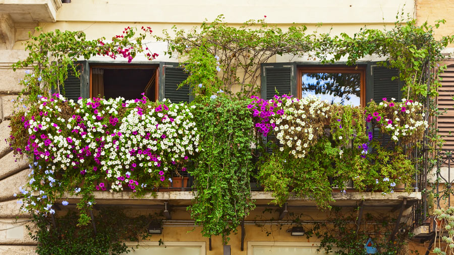 Balcone fiorito in bianco e fucsia.