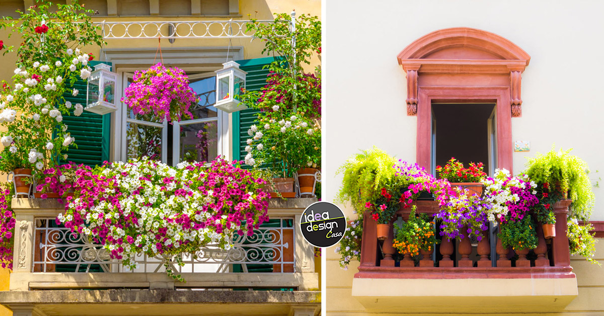 idee composizioni di fiori balcone.