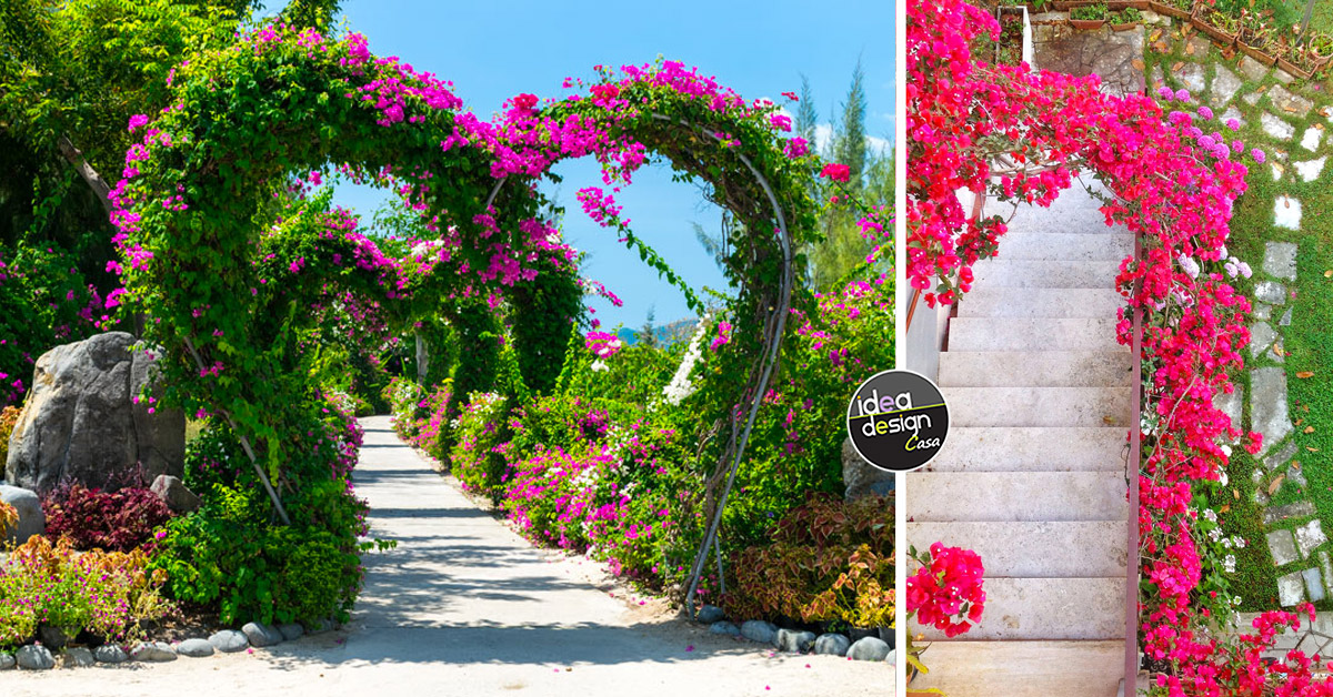 arco da giardino, idee per un esterno incantevole