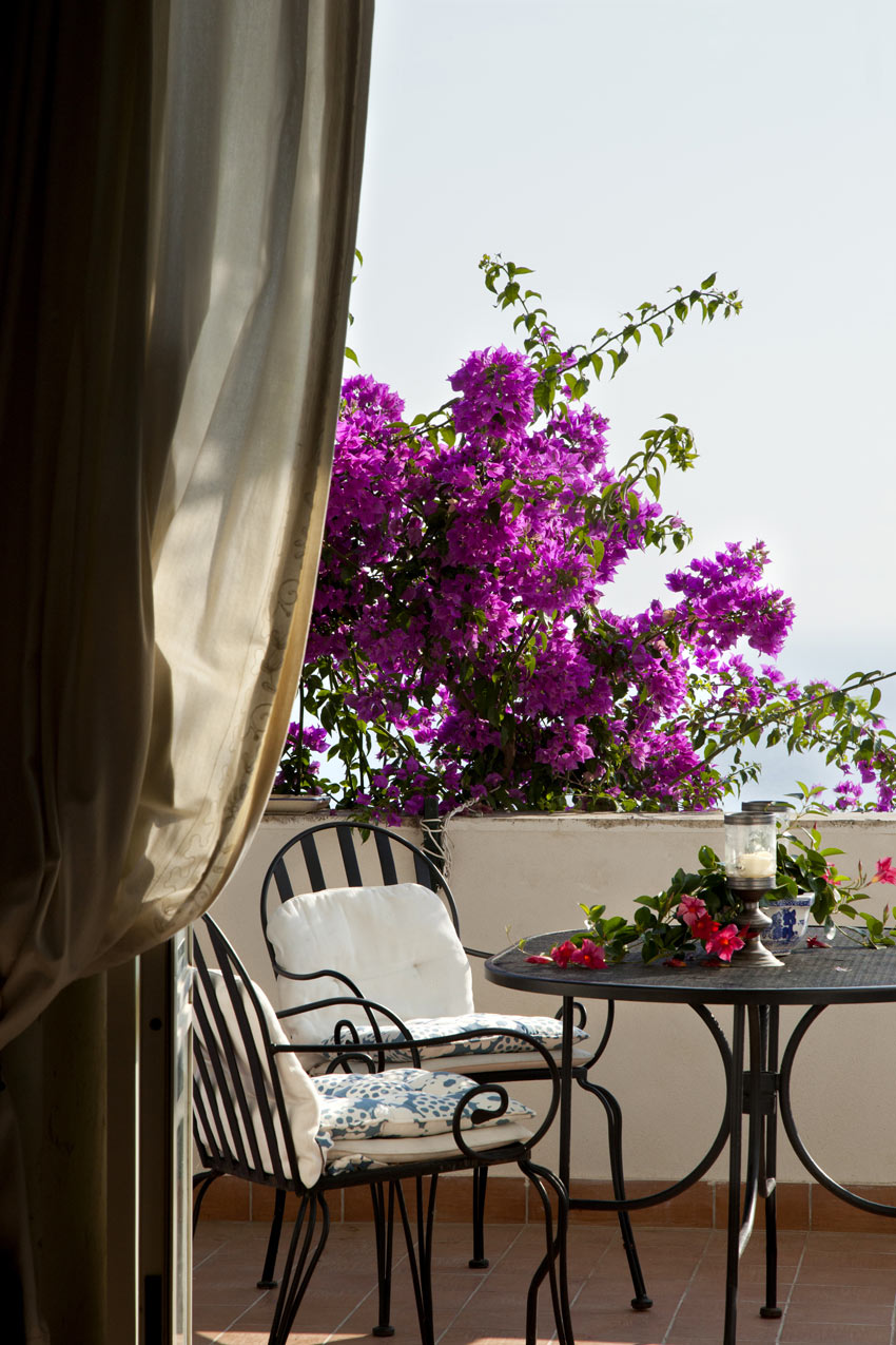 Bouganville sul balcone di casa.