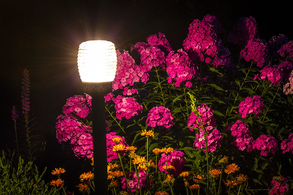 Illuminazione giardino originale.