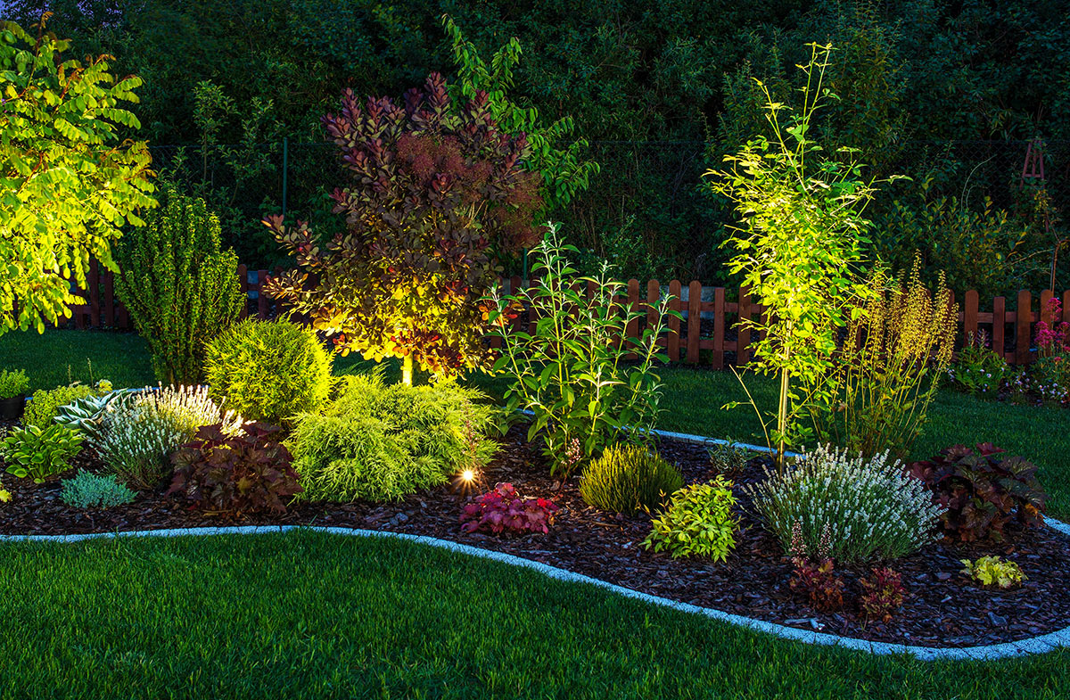 Aiuola illuminata con dei faretti in questo giardino.