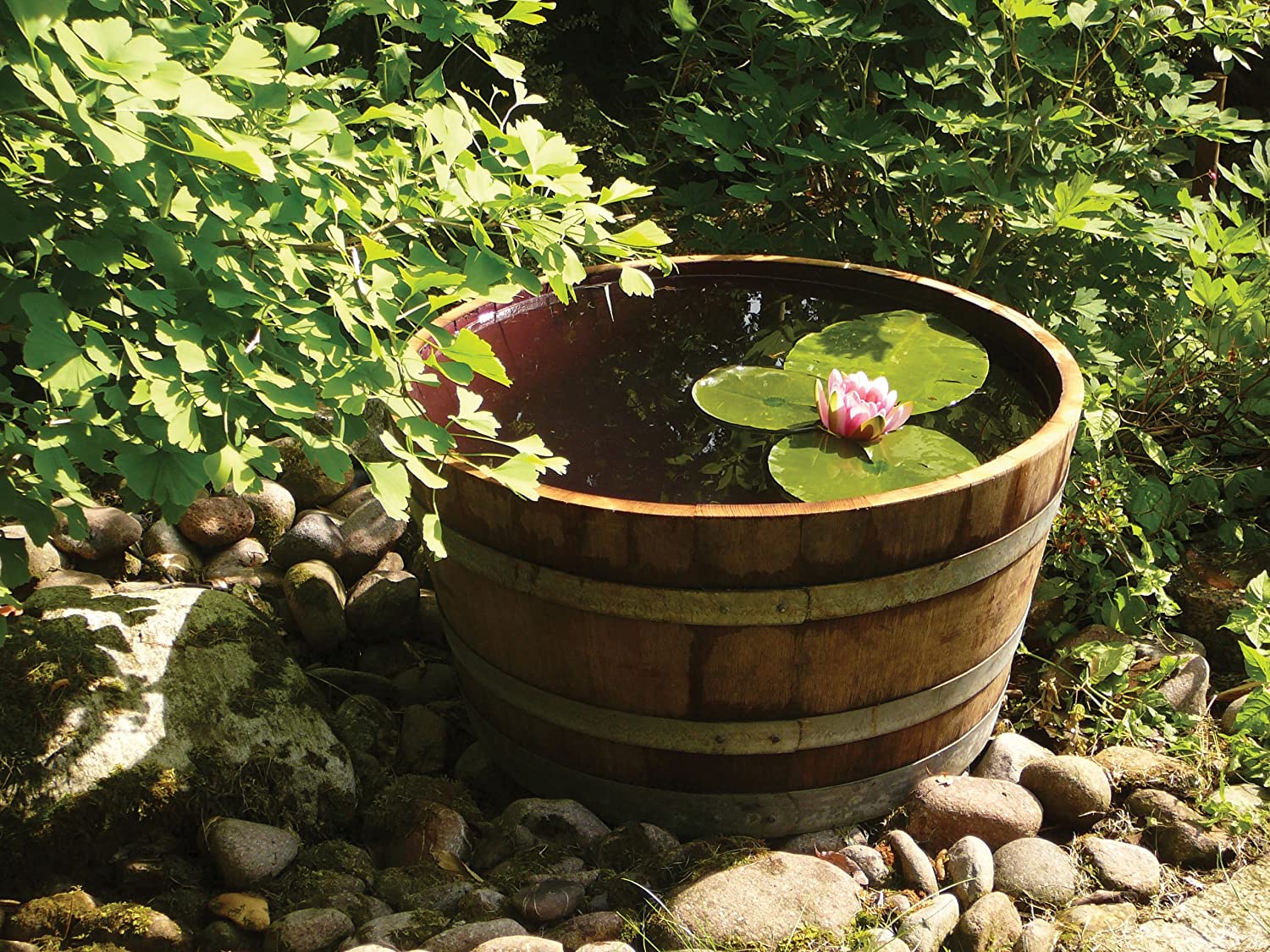 Tinozza di legno trasformato in un giardino d'acqua.