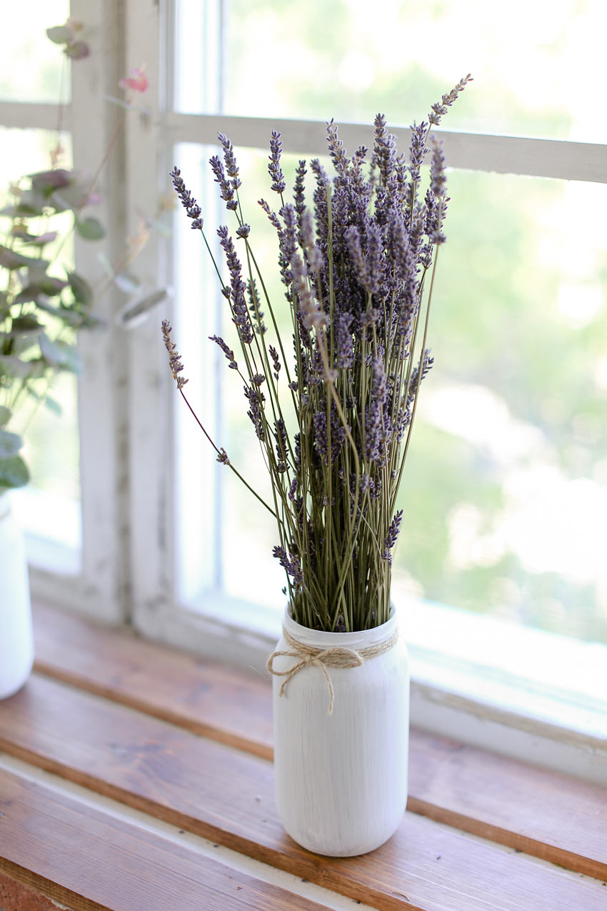 Piccolo barattolo di vetro dipinto di bianca con rametti di lavanda.