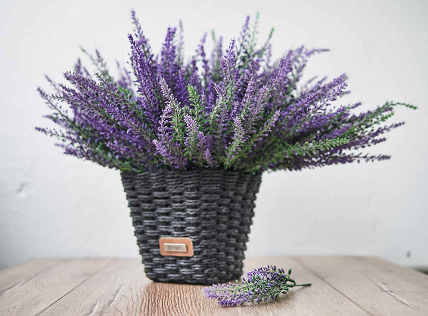 Vasetto grigio scuro in vimini con finta lavanda.