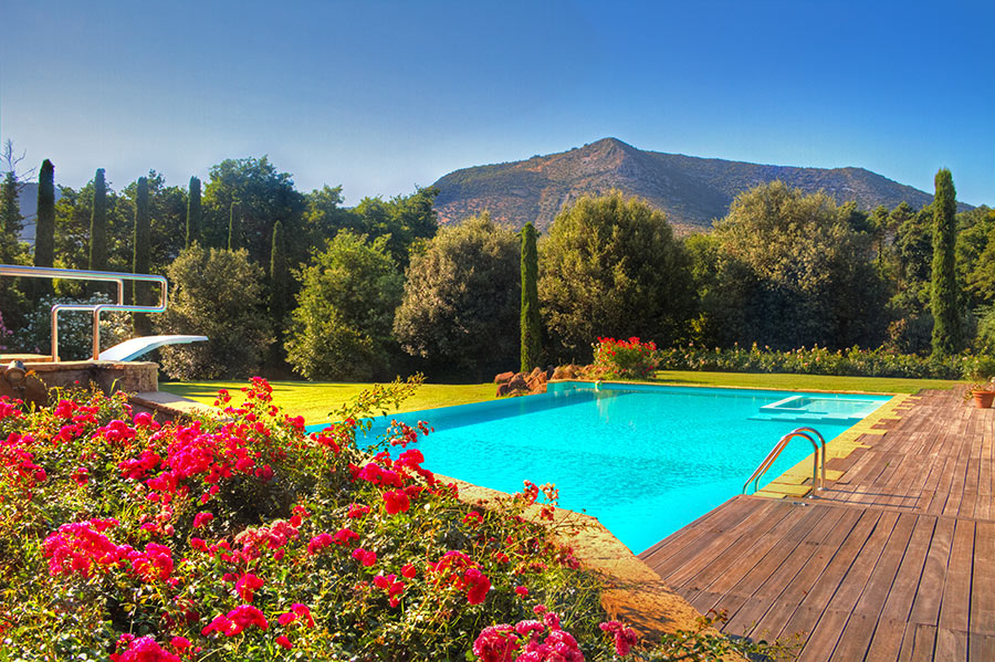 Bellissima piscina in giardino curato, fiori colorati, prato.