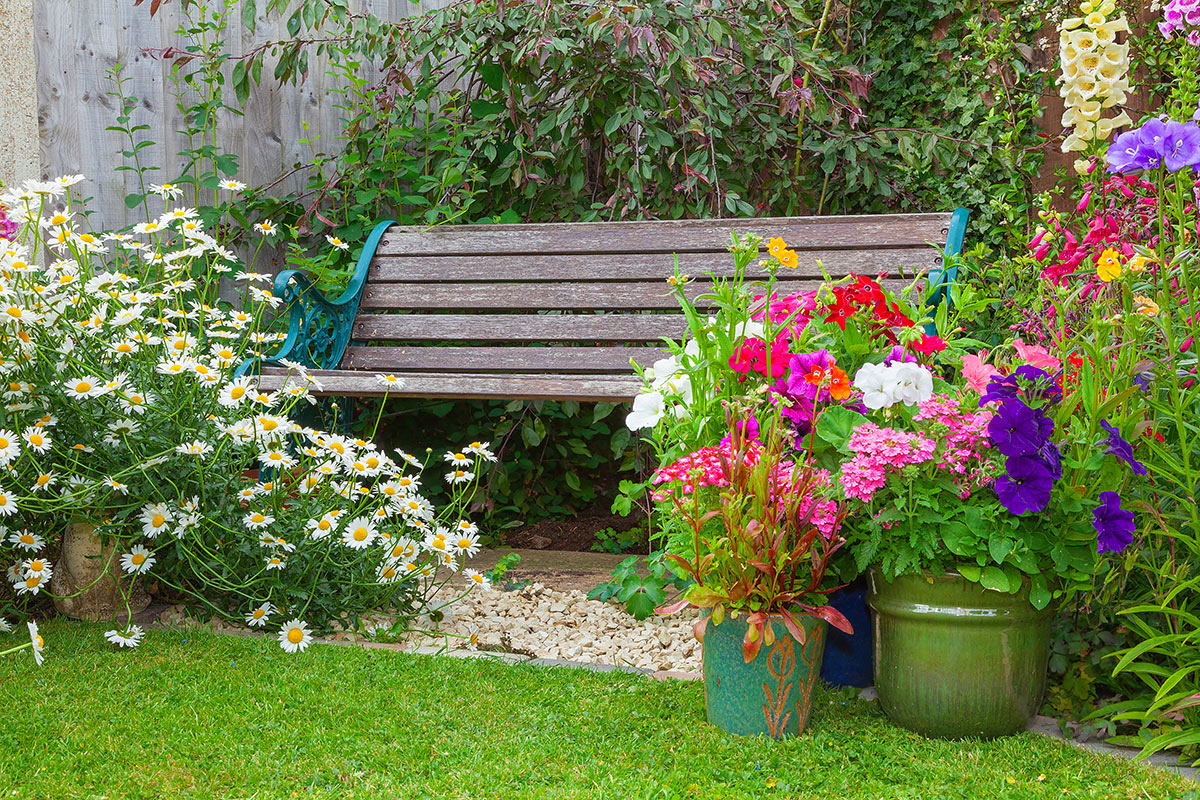 Panchina da giardino con vasi di fiori.