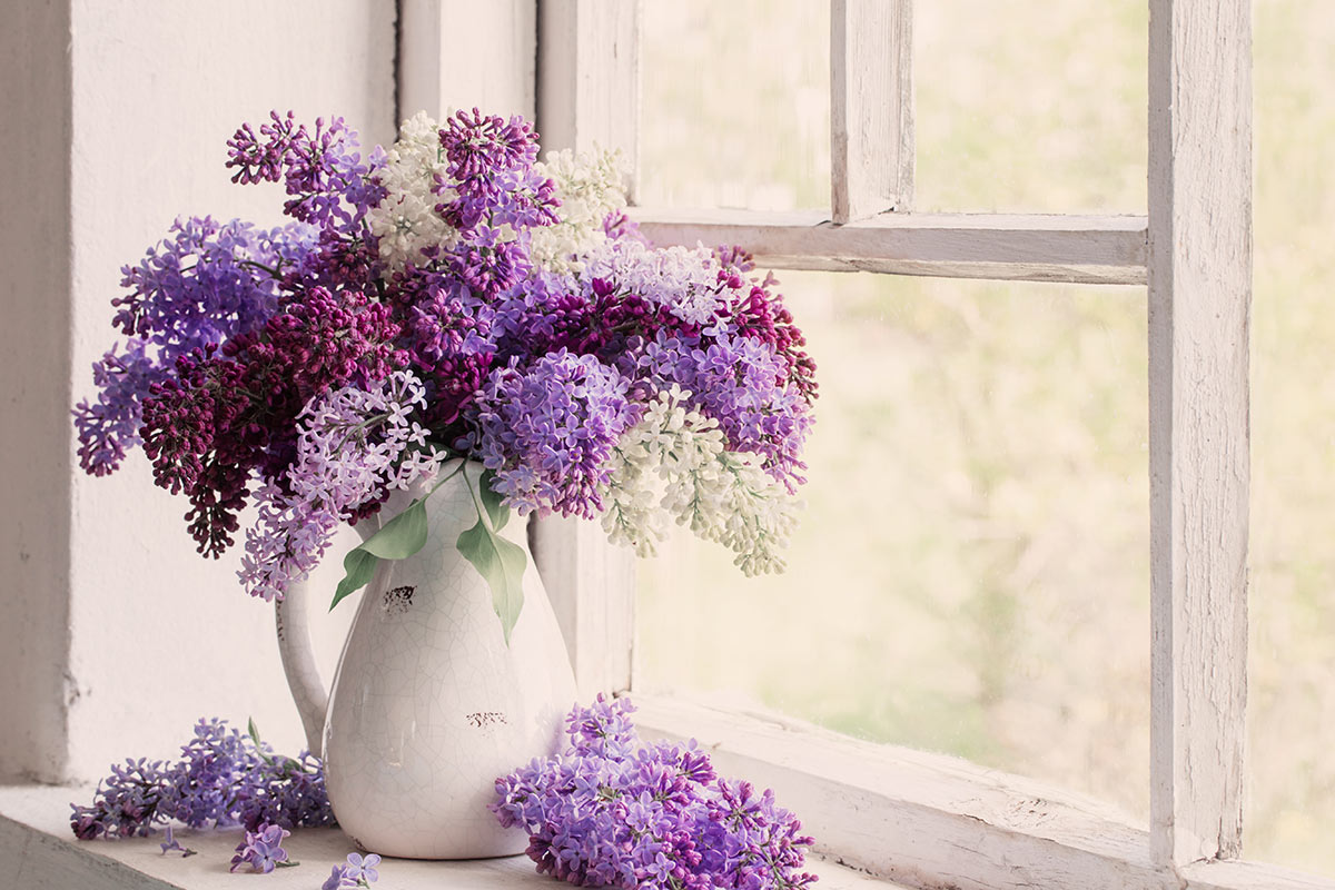 Bel vaso bianco con rami di lilla sul bordo della finestra.