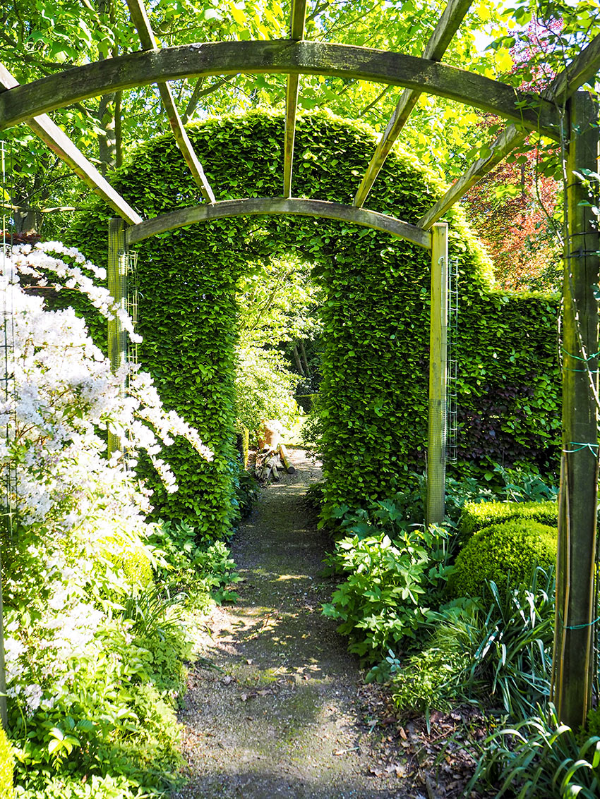 Arco da giardino con edera.