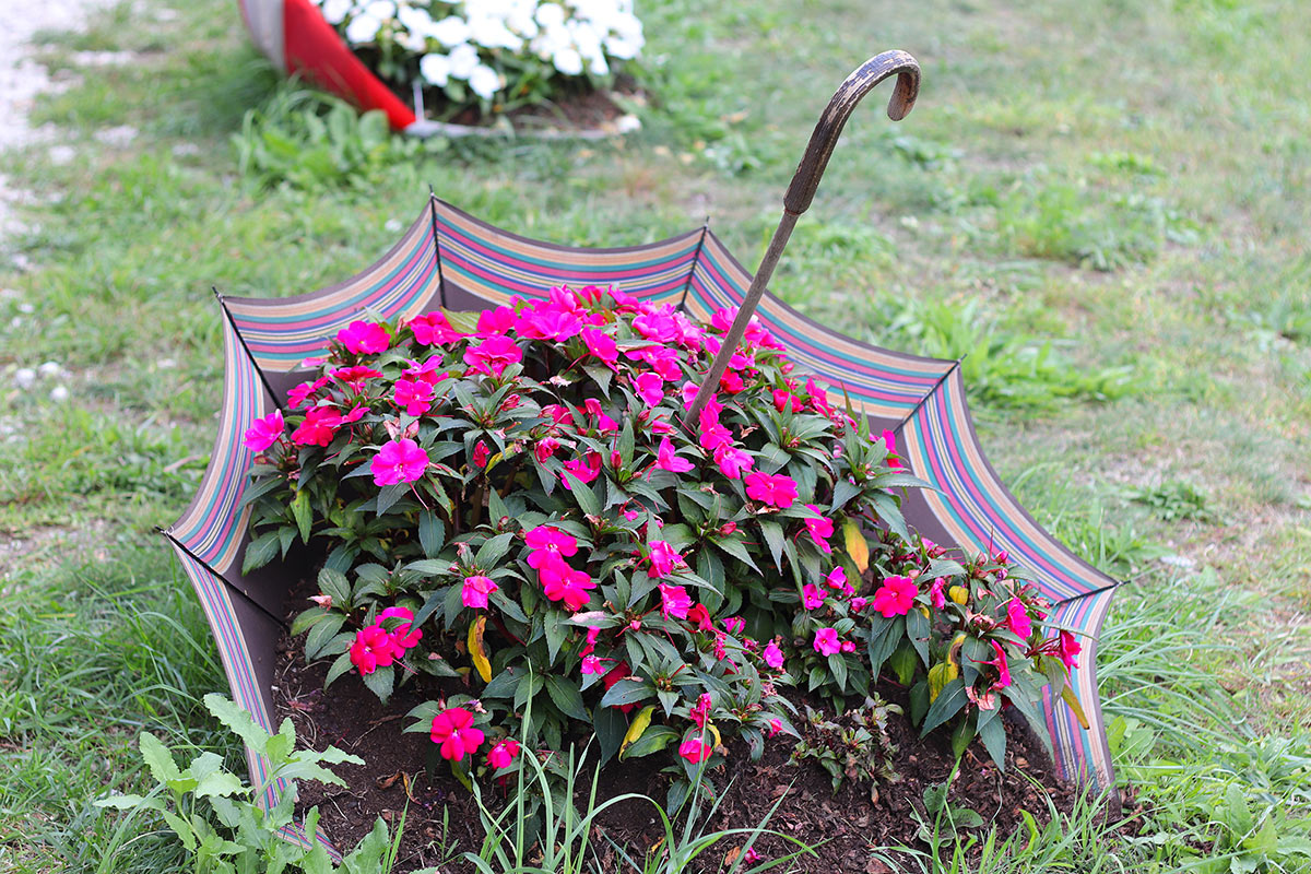 Vecchio ombrello diventa porta fiori in giardino.