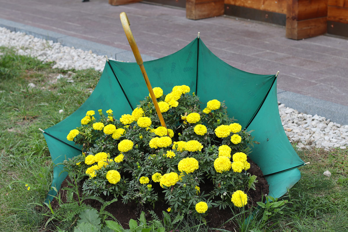 Ombrello rotto riciclato e decorato con fiori gialli.