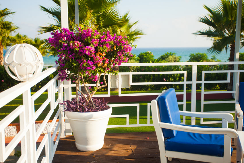 Bellissimo vaso di fiori sul balcone.