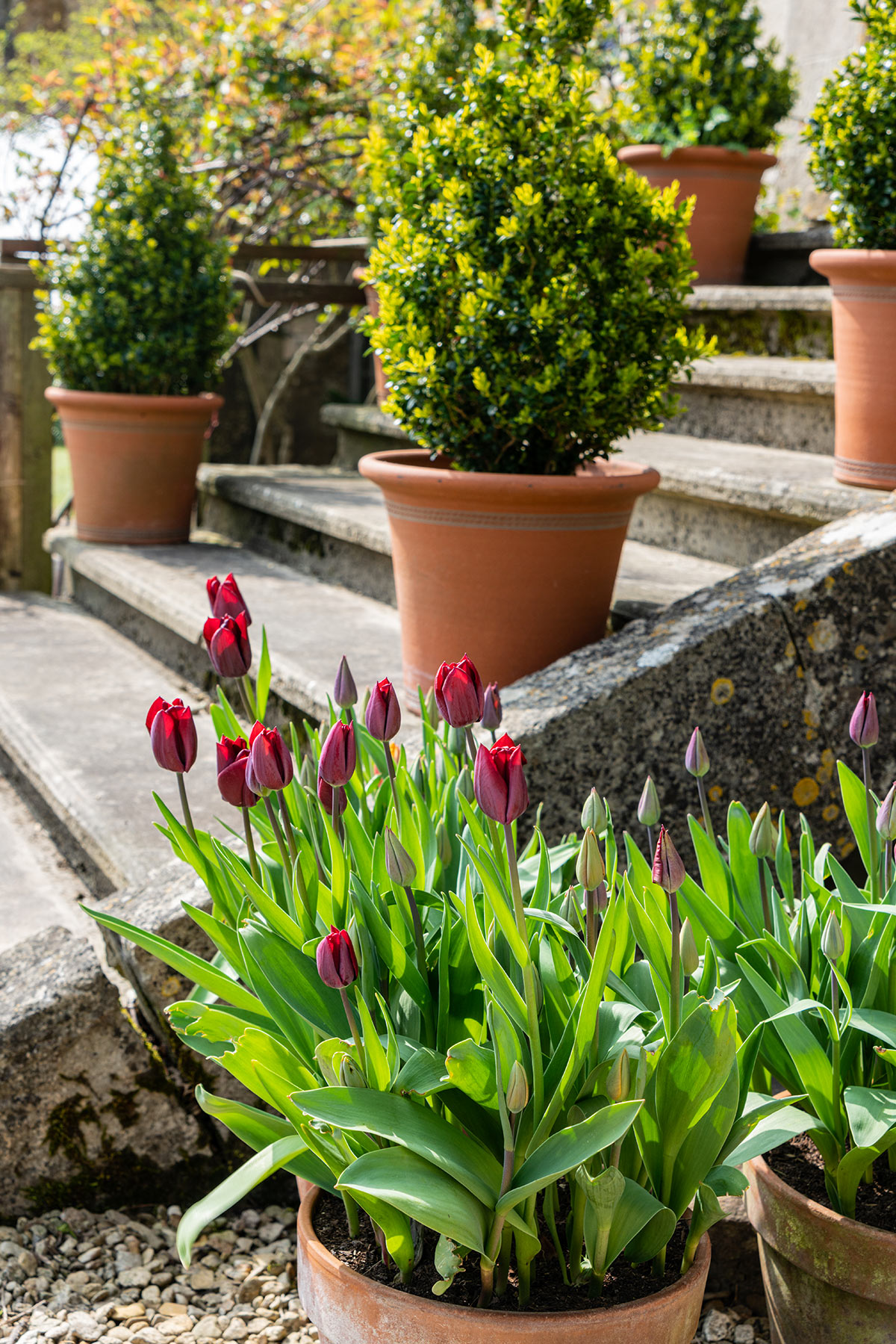 Decorare Le Scale Esterne Con Vasi Di Fiori 13 Idee Per Ispirarsi