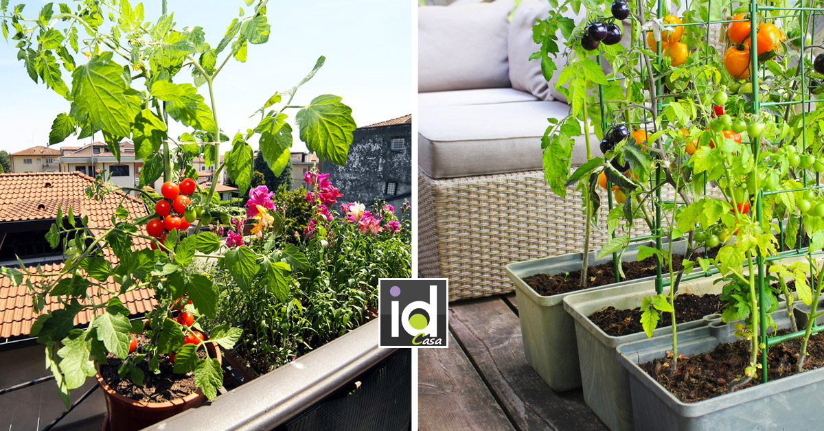 Come fare un orto sul balcone di casa