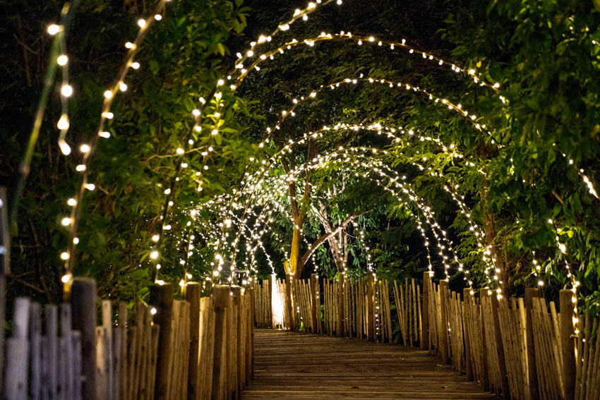 Tunnel di luci in giardino.