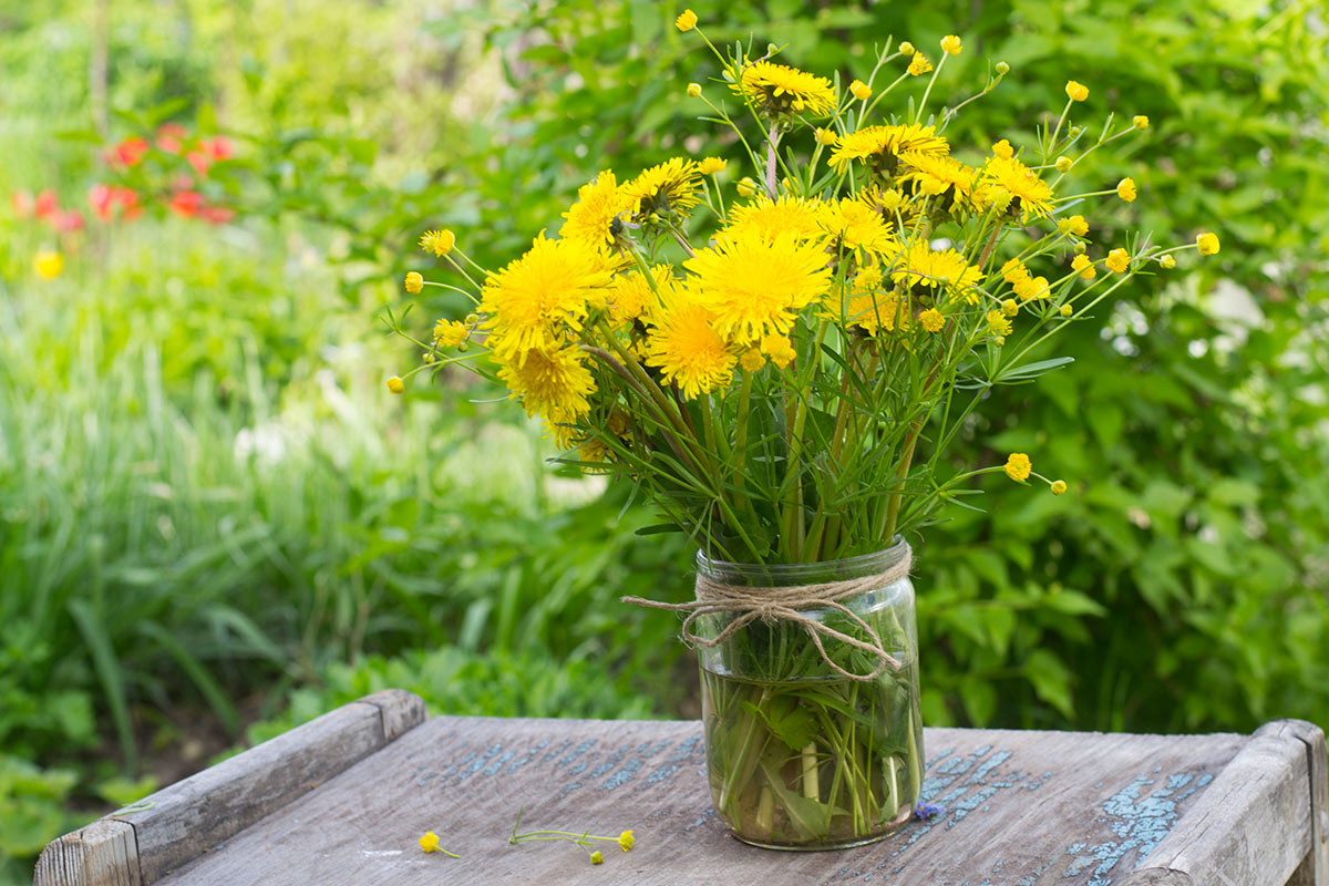 Contenitori di vetro riciclato con fiori gialli.