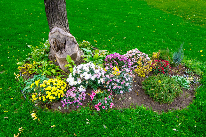 aiuole giardino idee sotto l'albero