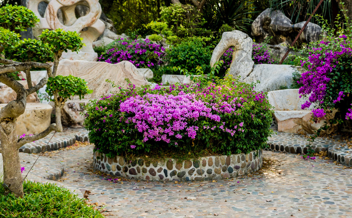 Bellissima aiuola in giardino con fiori viola.