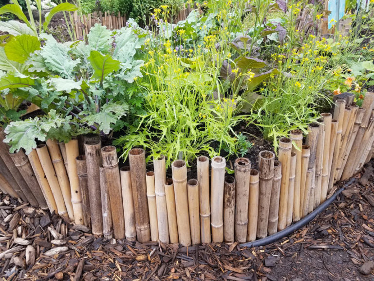 50 Tappi Protettivi Per Canne Di Bambù Da Giardino - Coperture In Plastica Verde, 3x3 Cm, Antinfortunistiche - 4