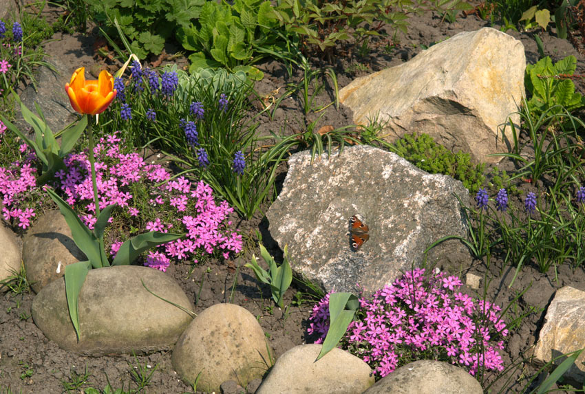 Aiuole con pietra naturale e fiori colorati.